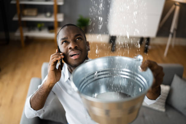 Best Water damage cleanup near me  in Camp Verde, AZ