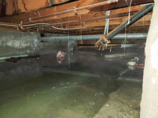 Best Sewage cleanup and water damage restoration  in Camp Verde, AZ