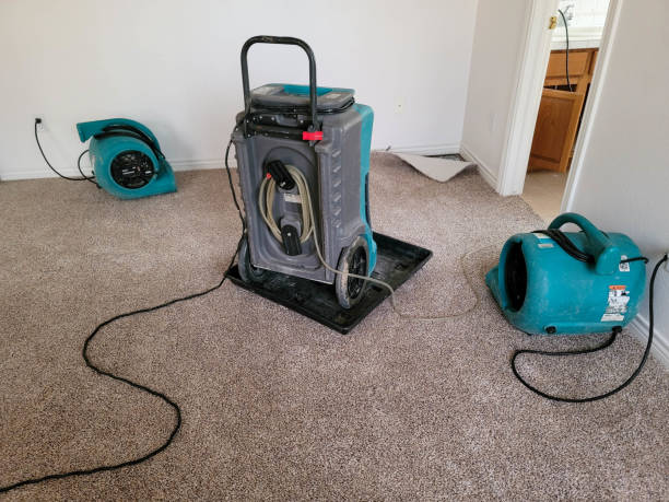 Best Local water damage restoration  in Camp Verde, AZ