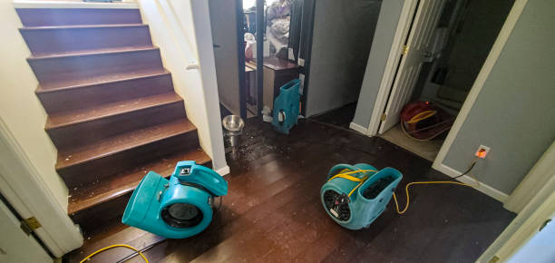 Best Emergency water damage restoration  in Camp Verde, AZ