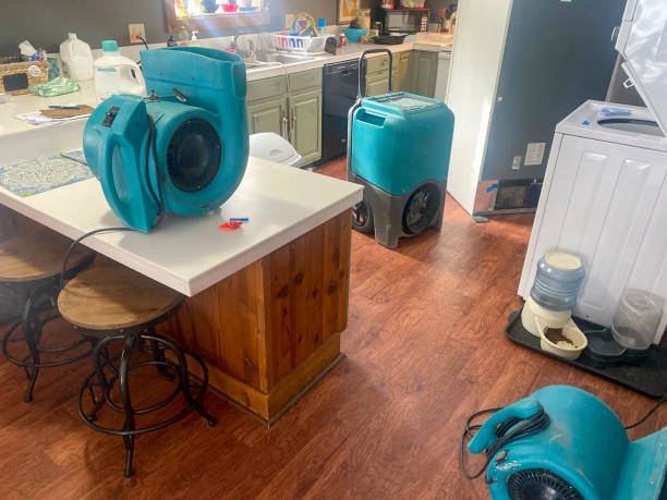 Best Flooded house restoration  in Camp Verde, AZ
