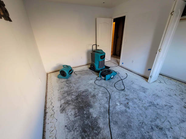 Best Water damage restoration near me  in Camp Verde, AZ