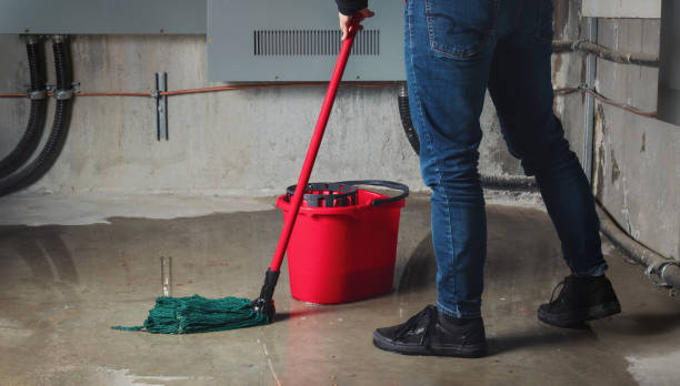 Reliable Camp Verde, AZ Water damage restoration Solutions
