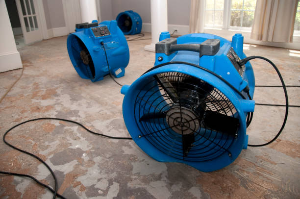 Best Water damage contractors near me  in Camp Verde, AZ