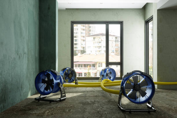 Best Water damage mitigation services  in Camp Verde, AZ