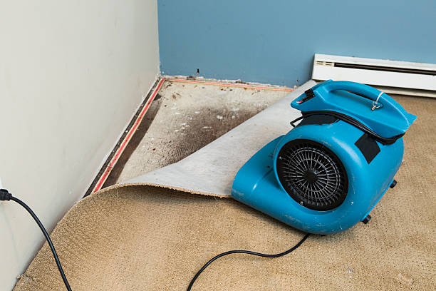 Best Water damage restoration mold remediation  in Camp Verde, AZ